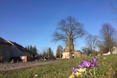 IMG-20180408-WA0013