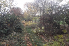 20181027_101915