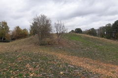20181027_114135